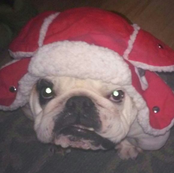 Meet your Posher, Amber💋 - Picture 4 of 5